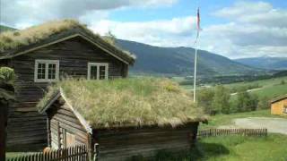 Green Roofs Saving the Planet One Building at a Time part 1 [upl. by Duke]