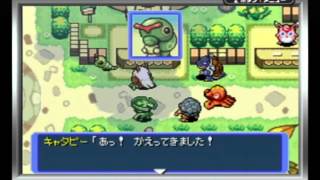 【実況】あなたの知らないポケモンの世界【ポケダン赤】part16 [upl. by Kudva]