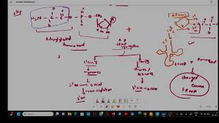 CHARGING OF tRNA  TRANSLATION [upl. by Mixam]