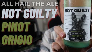 NOT GUILTY  Pinot Grigio Alcohol Free Wine Review [upl. by Rema]