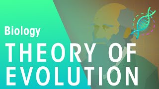 The Theory of Evolution by Natural Selection  Evolution  Biology  FuseSchool [upl. by Alad]