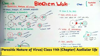 Parasitic Nature of Virus Class 11th Chapter Acellular life [upl. by Gazzo]