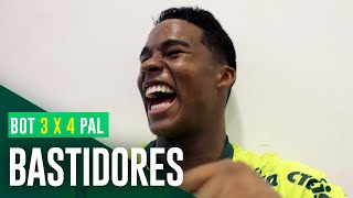 BASTIDORES DA VIRADA ÉPICA  BOTAFOGO 3 X 4 PALMEIRAS  BRASILEIRO 2023 [upl. by Armmat361]