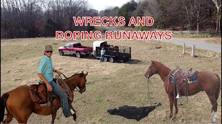 Roping Wild Cattle roping cowboys broncsanddonks cattle dalebrisby [upl. by Hilbert]