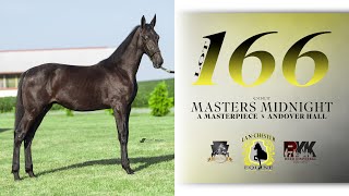 A Masterpiece colt  East Coast Standardbred Yearling Sale Lot 166 [upl. by Rellek]