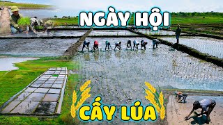 Thế Nhân  Lần Đầu Đưa Vào Thử Nghiệm Giống Lúa Nếp Việt Nam Trên Đất Châu Phi Liệu Có Khả Thi [upl. by Enimsaj545]