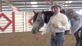 Dare® SoftHands Training Reins  Be Nice to Your Horse [upl. by Angelina]