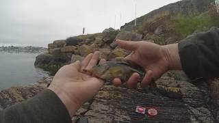 LRF UK Light Rock Fishing Devon [upl. by Alford128]