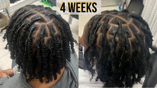 HOW TO BARREL TWIST ON LOCS ShortMedium LOCS Fine LOCS [upl. by Ramat]