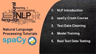 NLP Tutorial 8  Sentiment Classification using SpaCy for IMDB and Amazon Review Dataset [upl. by Herwig787]