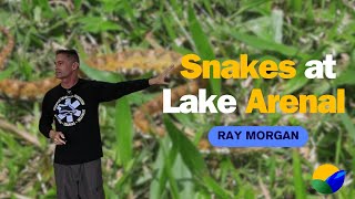 Snakes at lake Arenal  Presented at Applied HOPE Foundation by Ray Morgan [upl. by Anaiviv]