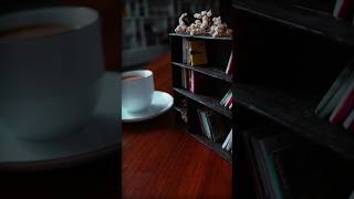 Build a Mini Bookshelf with Mini Books [upl. by Delia806]