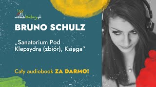 Sanatorium Pod Klepsydrą Księga – Bruno Schulz – CAŁY AUDIOBOOK ZA DARMO  Wolne Lektury [upl. by Sisxela779]