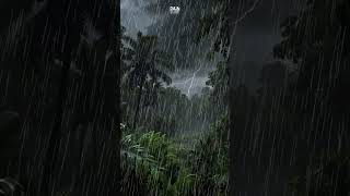 Peaceful Soundscape Rainforest Serenity [upl. by Algernon]