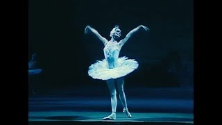 Tchaikovsky Swan Lake Bolshoi Ballet Moscow 1989 [upl. by Erbes689]