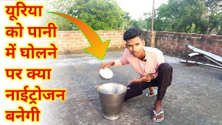 We Made Nitrogen From Urea  यूरिया से नाईट्रोजन बना दी  How to make nitrogen at home [upl. by Clarance598]