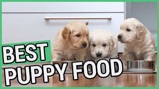 Best Puppy Food  5 Best Food For Puppies 2021 🐶 ✅ [upl. by Dlareg]