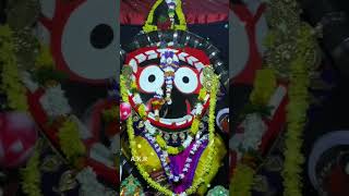 SHREE JAGANNATH SWAMI NKA KALIA DALANA [upl. by Lebar933]