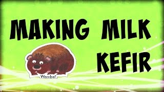 Making Milk Kefir quick and easy [upl. by Christiana]