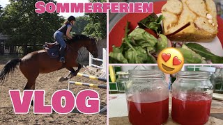 XXL Sommerferien Vlog  One day in my life  Seepferd [upl. by Nryhtak]