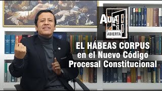 El Hábeas Corpus en el nuevo Código Procesal Constitucional  Aula Abierta  13 [upl. by Orly]