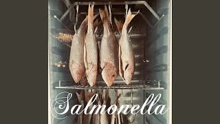 SALMONELLA [upl. by Kacerek]