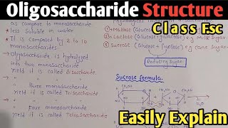 Oligosaccharide Structure And Classification  Disaccharide  Sucrose  Maltose  Class 11 [upl. by Ydnyc]