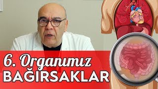 6 ORGANIMIZ BAĞIRSAKLAR  BAĞIRSAK SAĞLIĞI  5 Dakikada Sağlık [upl. by Naujal608]