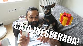 PAQUETE SORPRESA PARA SITEN  DEBERÍA HABER PUESTO UNA RECLAMACIÓN  Vlog diaro EsbattTV [upl. by Licna256]