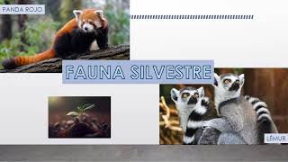 FAUNA SILVESTRE  BRIGADA ANIMALISTA UC [upl. by Nolyag467]