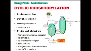 Class 11  Biology  Chapter 11  Lecture 8  Cyclic Phosphorylation  Chemiosmosis [upl. by Perceval708]