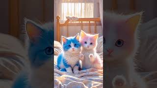 Cute 🐱cute🌝🌝 funny⭐⭐ cat🍼🍼 awesome🎄 [upl. by Saville]