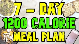 7  Day 1200 Calorie Meal Plan [upl. by Franz]