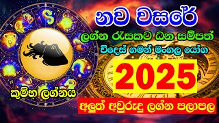 2025 Panchanga  2025 Litha  Kumbha Lagnaya  2025 Lagna palapala  2025 Horoscope  2025 calendar [upl. by Felty]