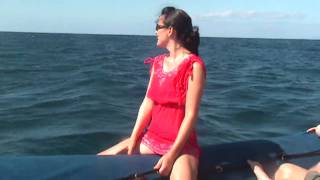 Whale Watching in Maui Hawaii [upl. by Naut]