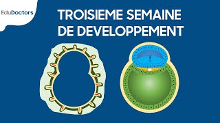 Troisième semaine de développement  Embryologie générale [upl. by Gilburt88]