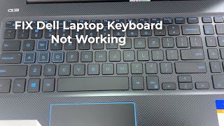 ✅ SOLUTION Some Keys Not Working on Laptop Keyboard [upl. by Niehaus776]