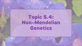 AP Biology  Topic 54 NonMendelian Inheritance [upl. by Kciremed239]