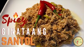 SPICY GINATAANG SANTOL RECIPE  Namit Bicol TV [upl. by Quintessa]