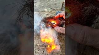 Flint and steel on steel wool bushcraftskills survivalskills survival firemaking [upl. by Ziwot]