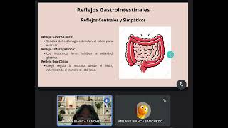 REFLEJO GASTROINTESTINALES CONTROL HUMORAL TIPOS MOV INTESTINAL [upl. by Ylrebmit828]