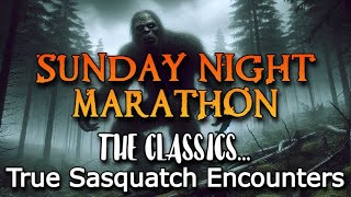 SUNDAY NIGHT MARATHON THE CLASSICSTrue Sasquatch Encounters [upl. by Animrelliug]