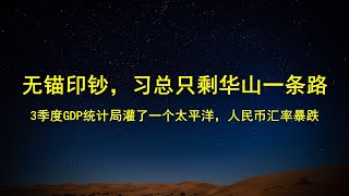 无锚印钞，只剩华山一条路；3季度GDP46，统计局灌了太平洋的水；人民币破71，形势一片大好，人民币为何还会暴跌？ [upl. by Limber]