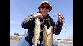 Sandusky River Walleye Fishing From Shore [upl. by Kasevich618]