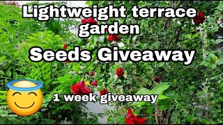 Lightweight terrace garden seeds giveaway [upl. by Esir]