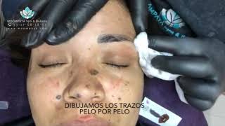 Microblading Pelo a Pelo  Efecto Sombra [upl. by Reeta]