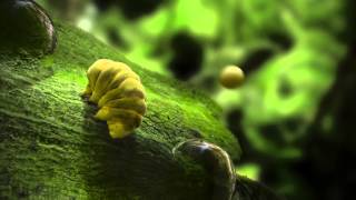 Tardigrade Facts [upl. by Sinclair]