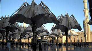 The Umbrellas closing of Masjid Al Nabawi In Medina Prophets Mosque [upl. by Nitsirc]