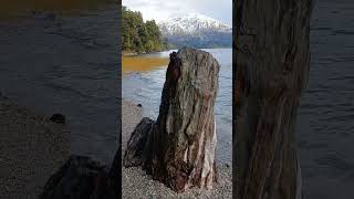 Si venis elbolson desde bariloche pasa por esta playa Lago Mascardi otoño 2024 ruta40 patagonia [upl. by Caraviello]