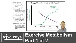 Exercise Metabolism Part 1 of 2  Energy Systems UPDATED VERSION IN DESCRIPTION [upl. by Teagan347]